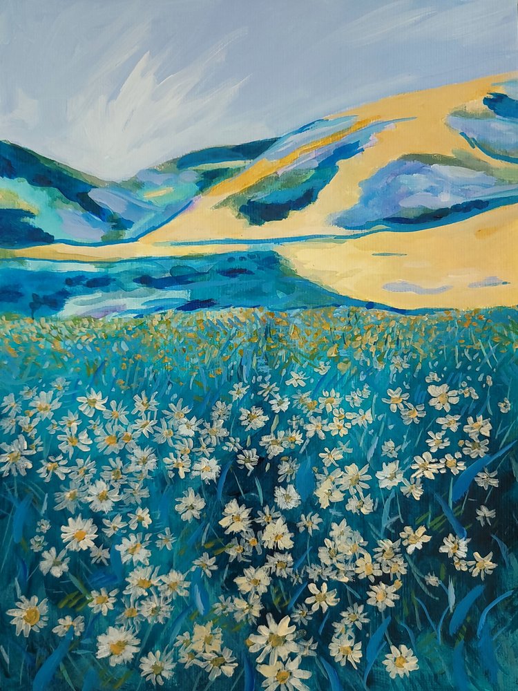 Champ de marguerites de Golden Hills - Claire Whitehead