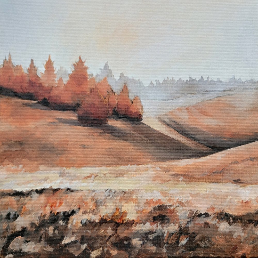 Collines brumeuses d