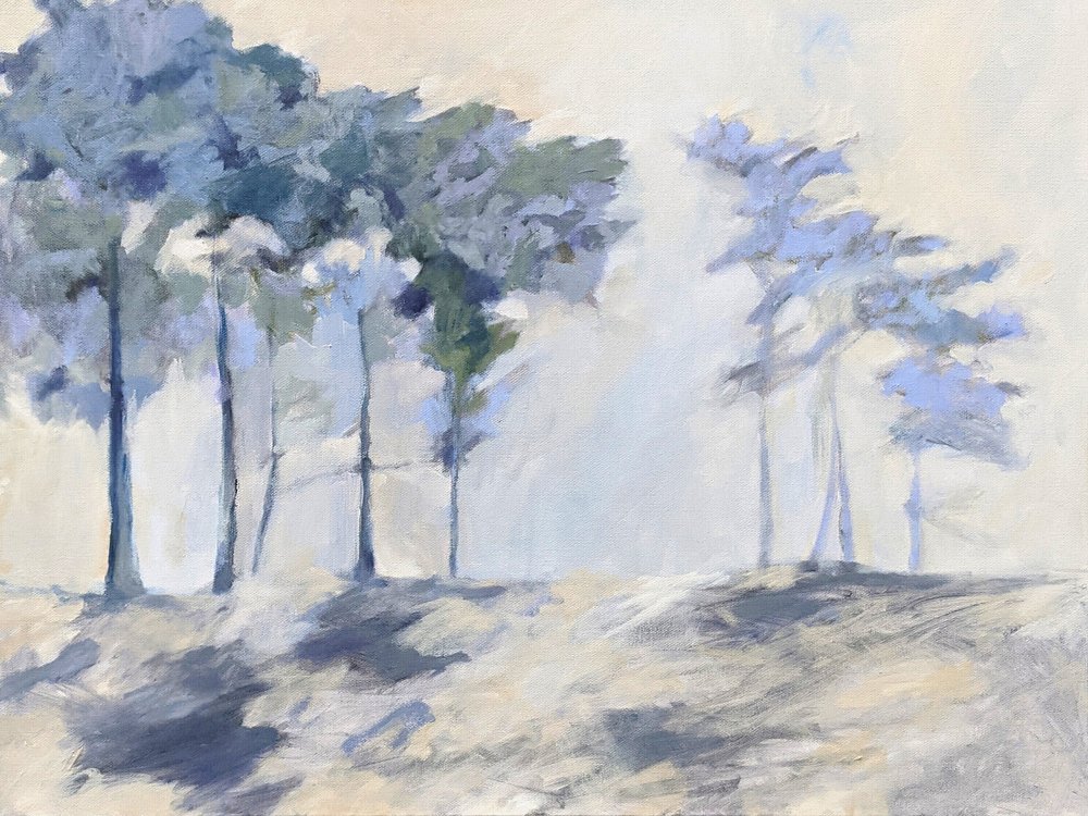 Les arbres de la forêt brumeuse - Claire Whitehead