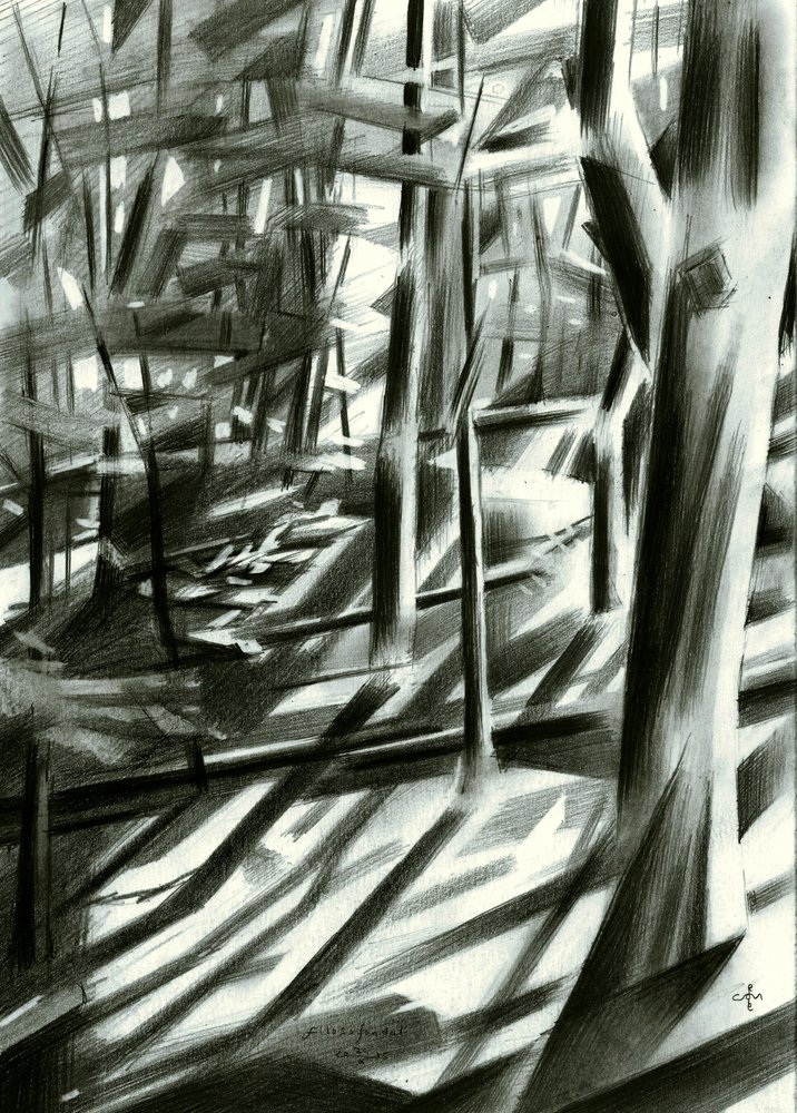 Résumé : Ombres de la forêt - Corné Akkers
