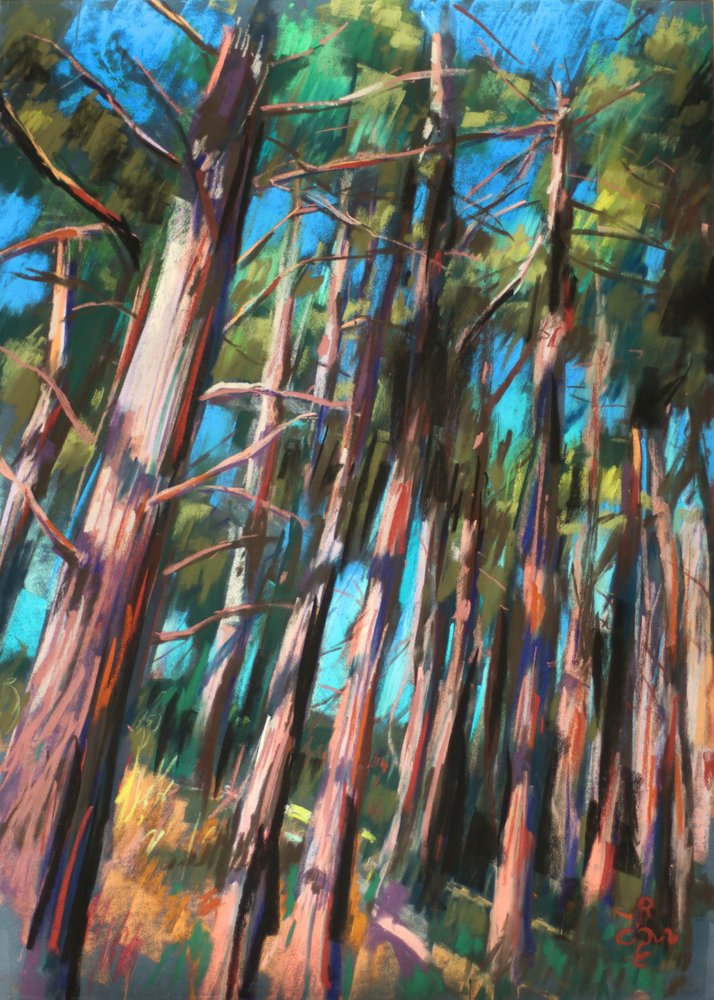 Lumière tamisée de la forêt - Corné Akkers