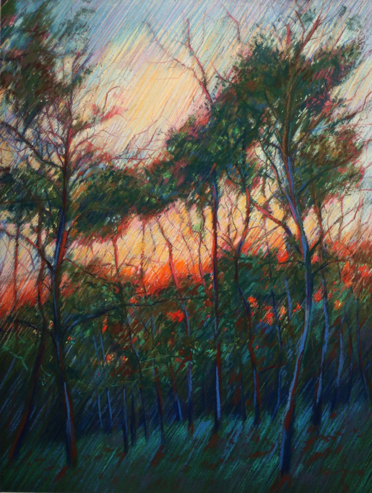 Lueur du coucher de soleil dans la forêt - Corné Akkers