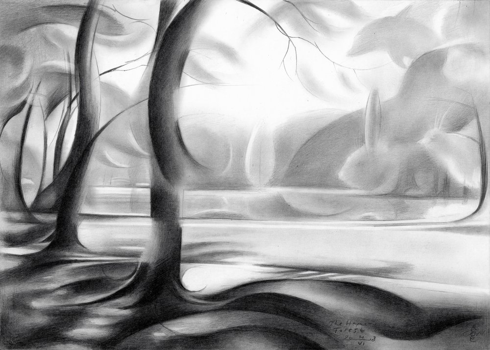 Reflet de la forêt mystique - Corné Akkers