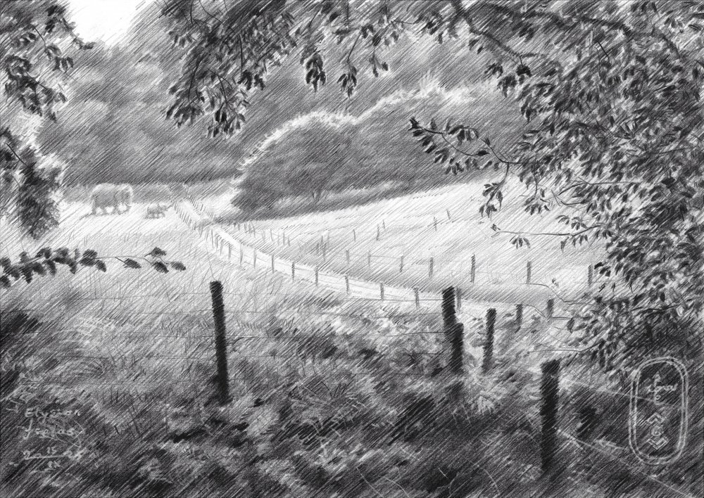 Sentier paisible à la campagne - Corné Akkers