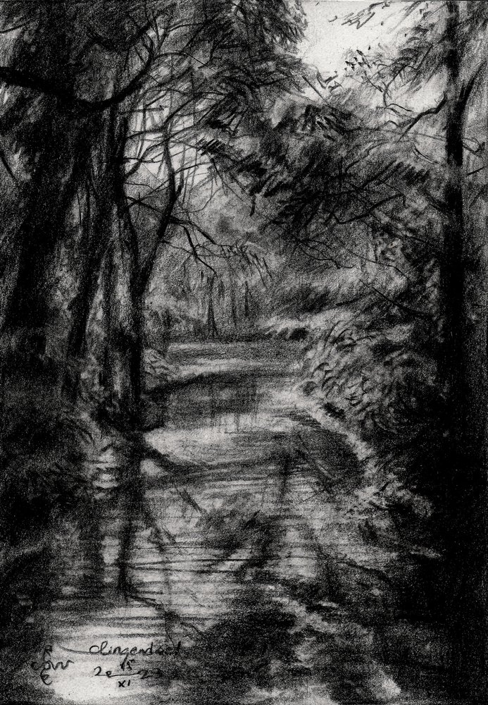 Ruisseau de la forêt ombragée - Corné Akkers