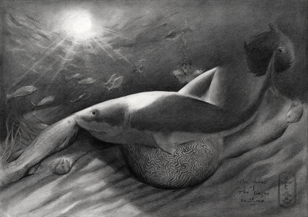 Le requin et la sirène - Corné Akkers