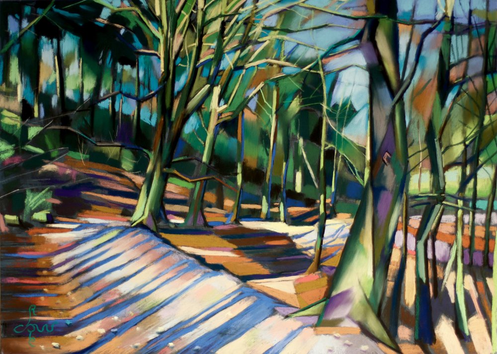 Sentier ensoleillé de la forêt - Corné Akkers