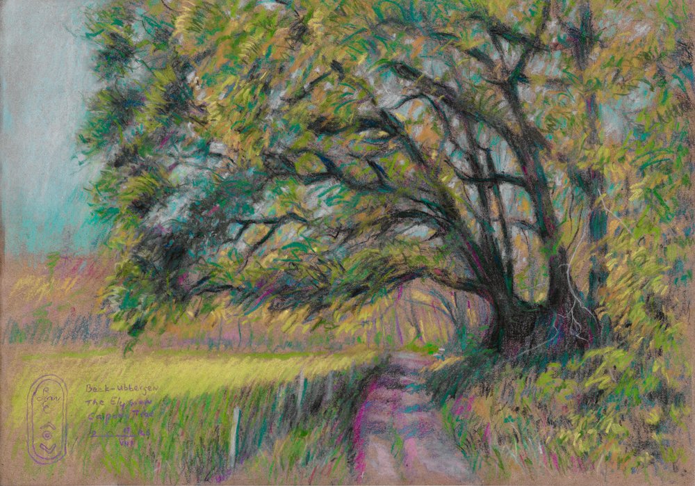 Chemin de campagne sinueux - Corné Akkers