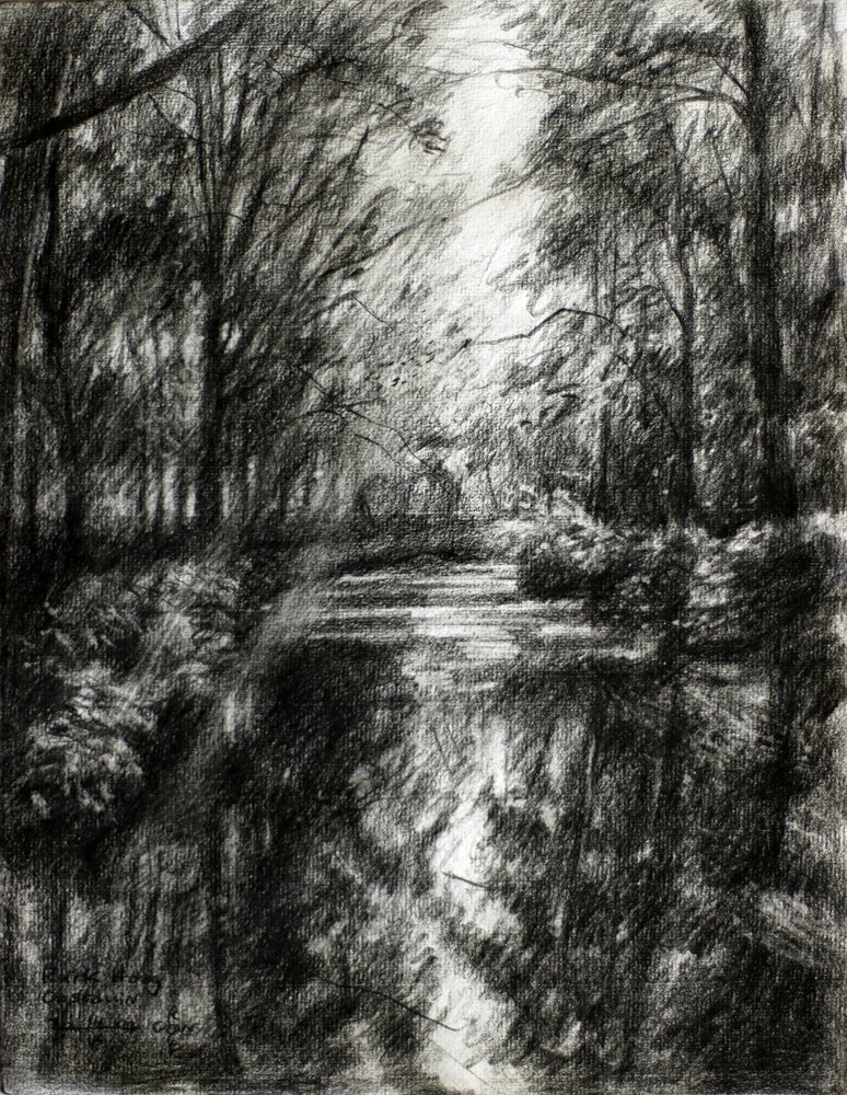 Sentier forestier sinueux - Corné Akkers