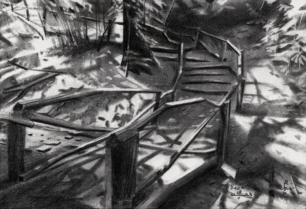 Escalier en colimaçon dans la forêt - Corné Akkers