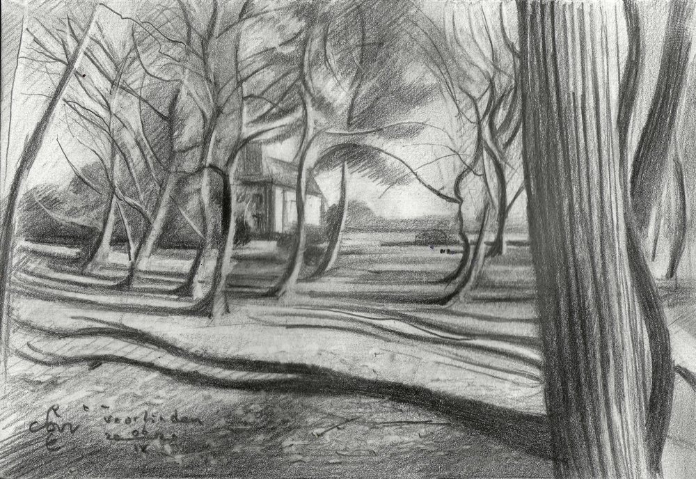 Ombres de la forêt en hiver - Corné Akkers