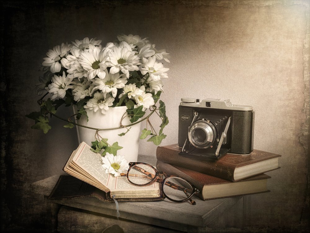 Nature morte vintage - Cristiano Giani