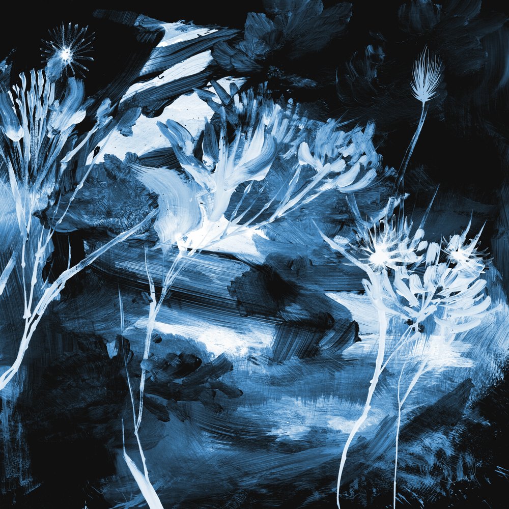 Motifs floraux bleus - Dan Hobday