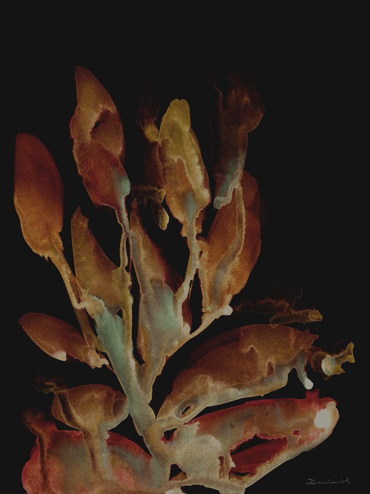 Usine de nuit - Dan Hobday