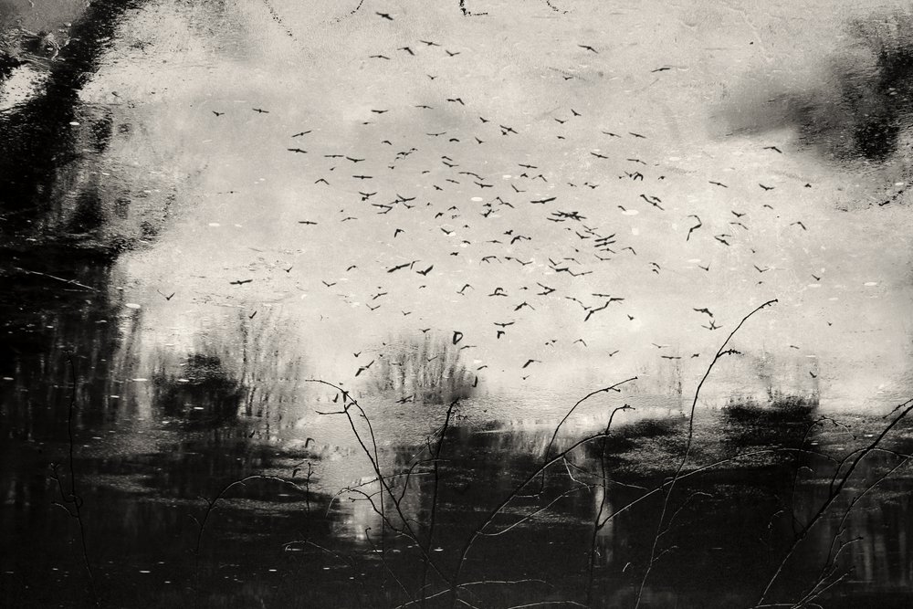  - Daniela Riegler