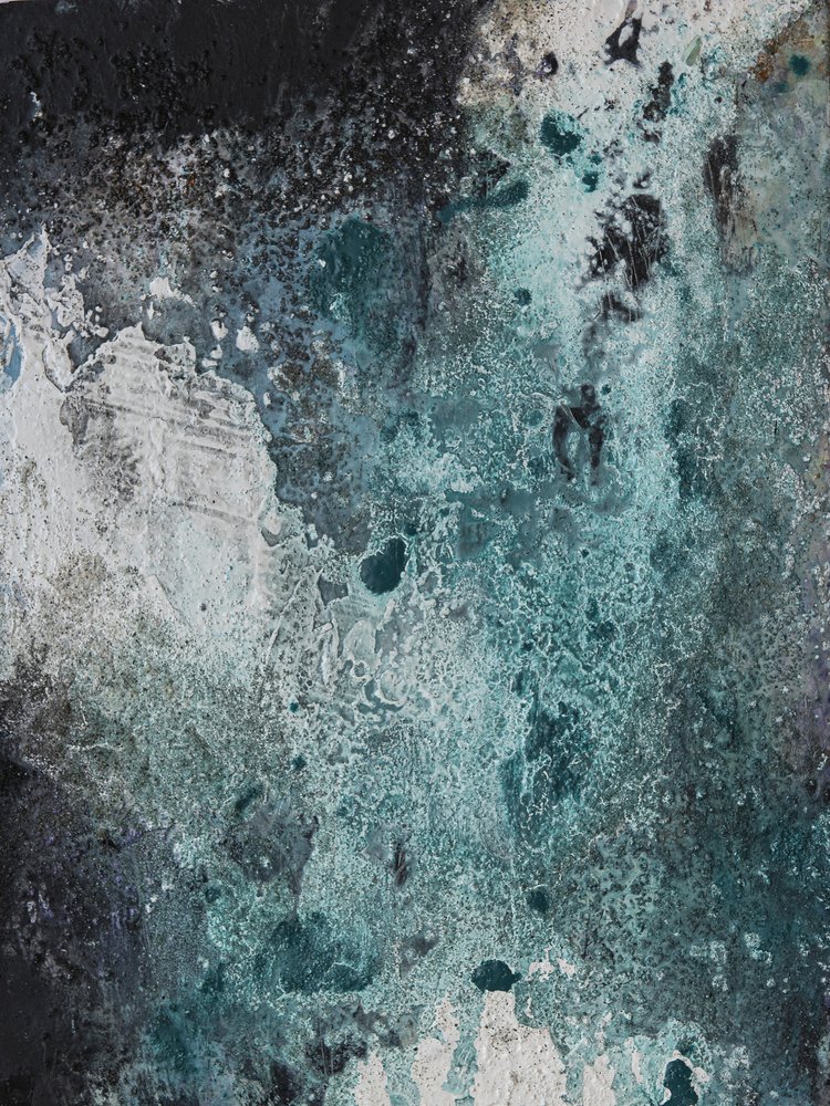 Textures de sarcelles gelées - Deb Chaney