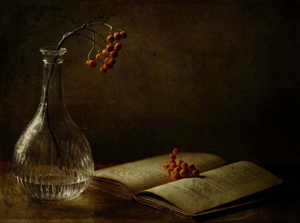  - Delphine Devos