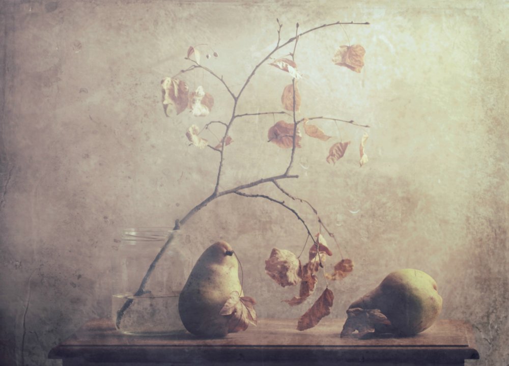  - Delphine Devos