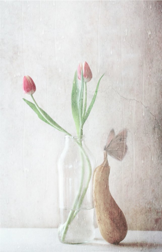  - Delphine Devos