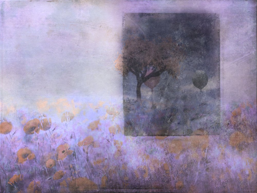  - Delphine Devos