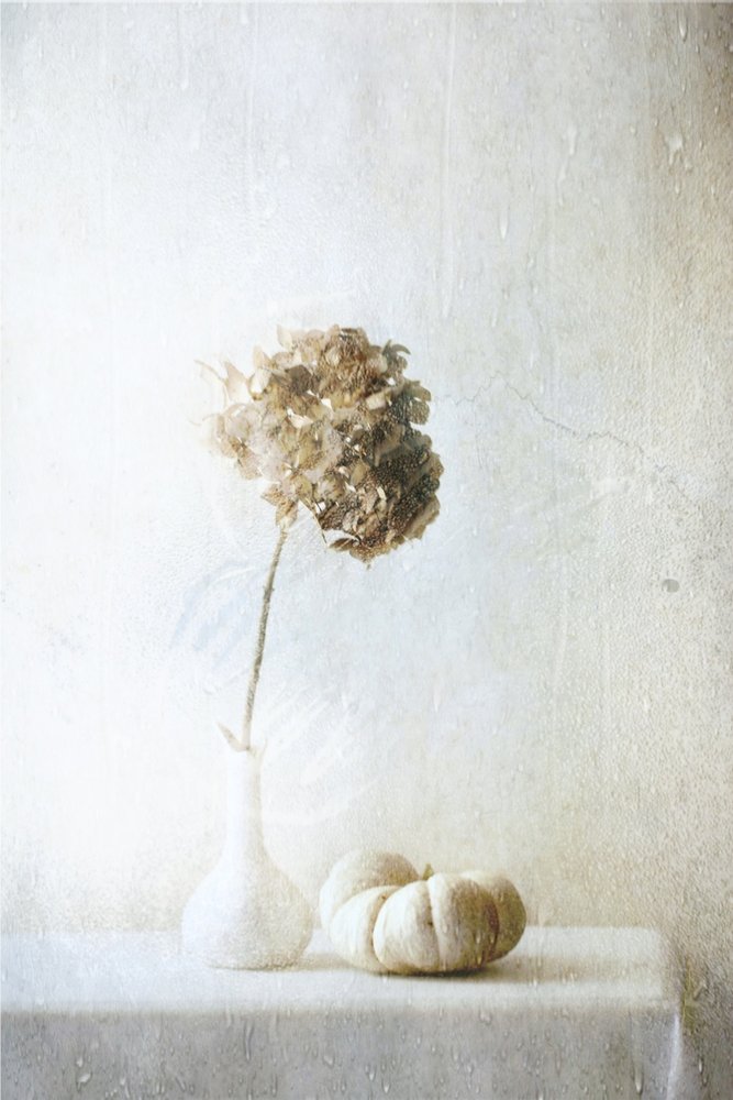  - Delphine Devos