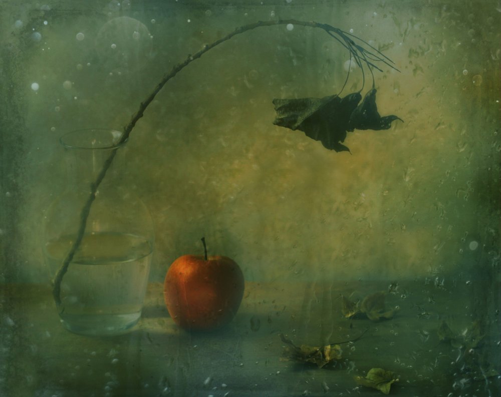  - Delphine Devos
