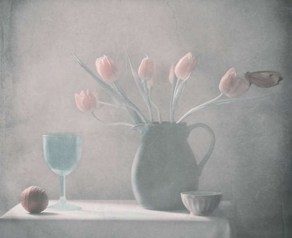  - Delphine Devos