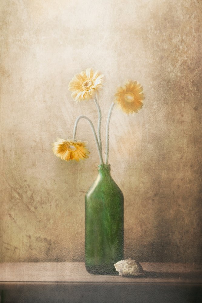 Fleurs jaunes discrètes - Delphine Devos