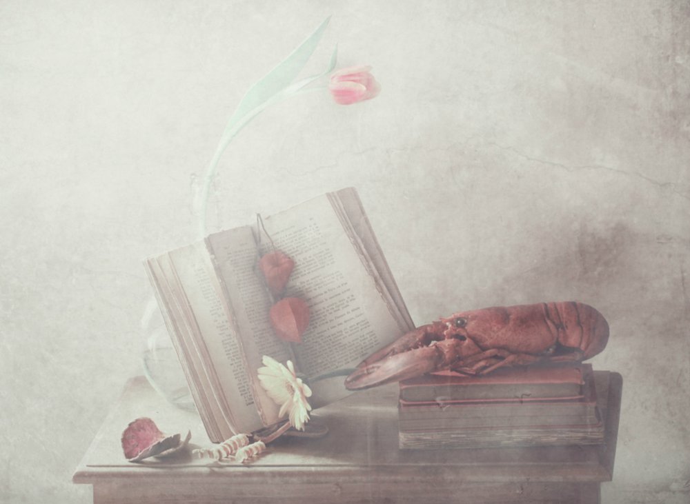  - Delphine Devos