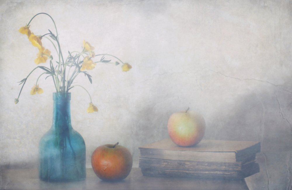  - Delphine Devos