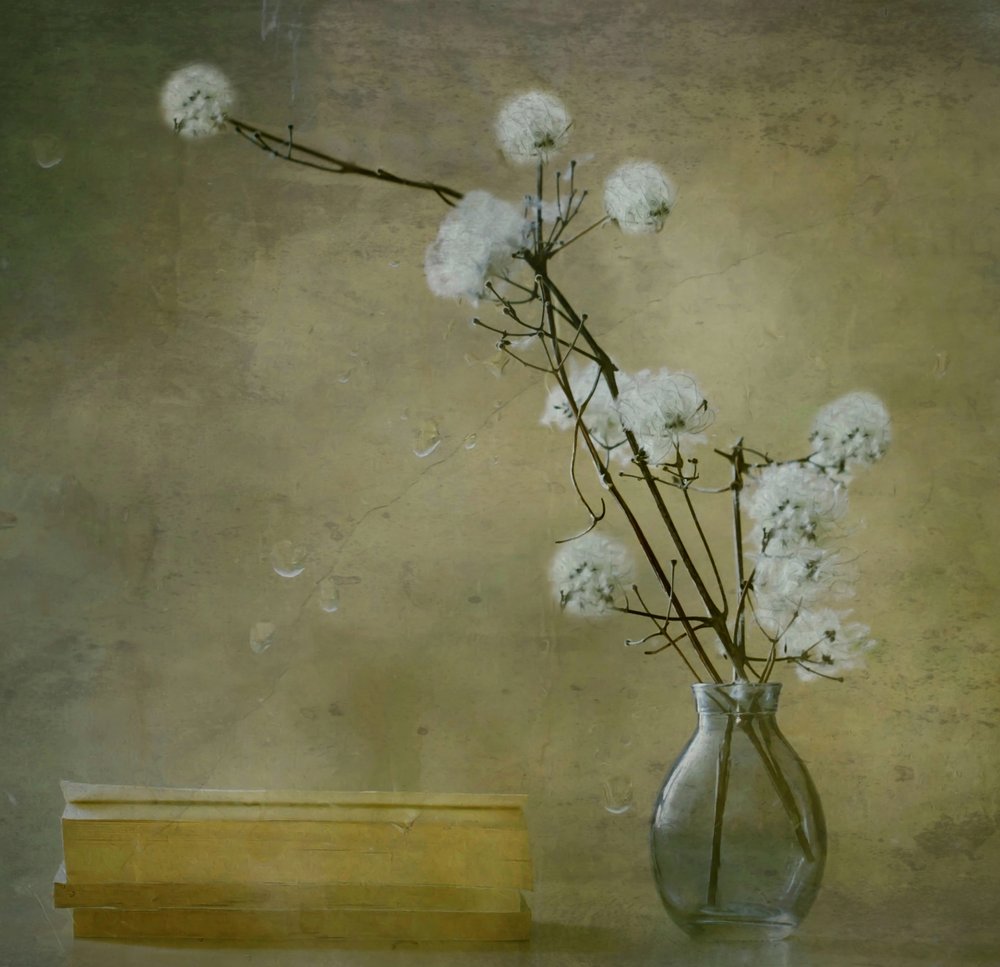 Fleurs douces et sereines - Delphine Devos