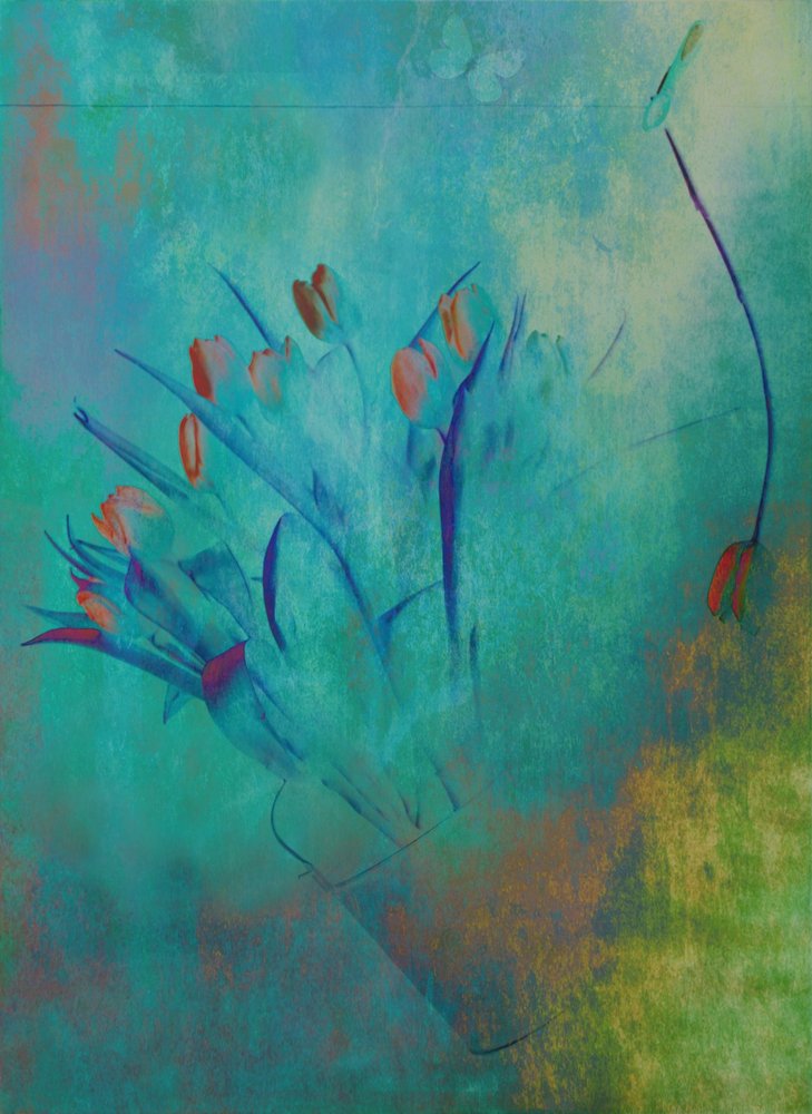  - Delphine Devos