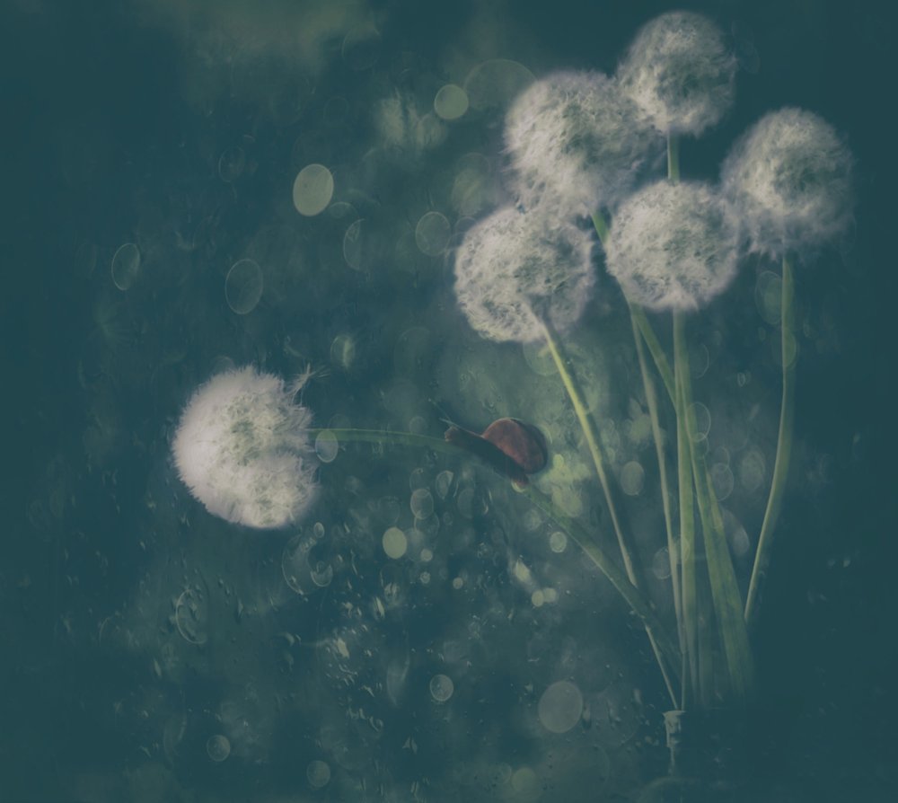  - Delphine Devos