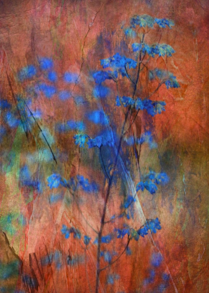  - Delphine Devos