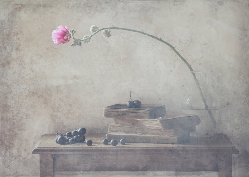  - Delphine Devos