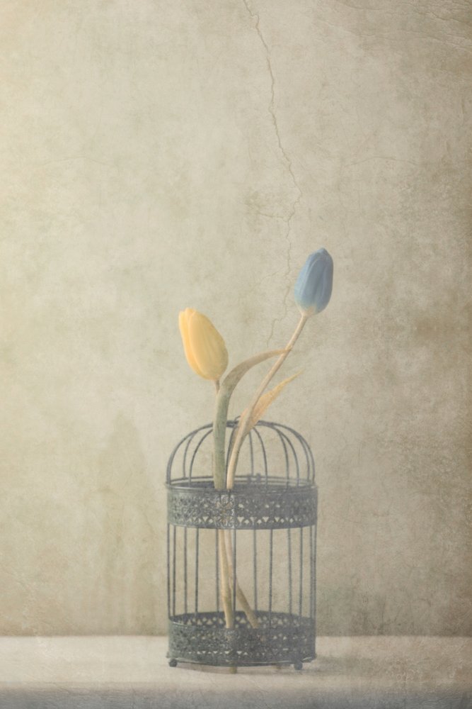  - Delphine Devos