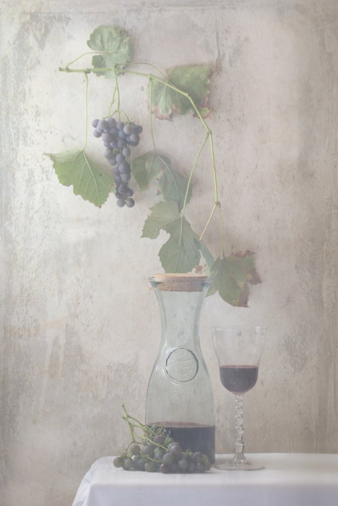 Nature morte avec des raisins de vendange - Delphine Devos