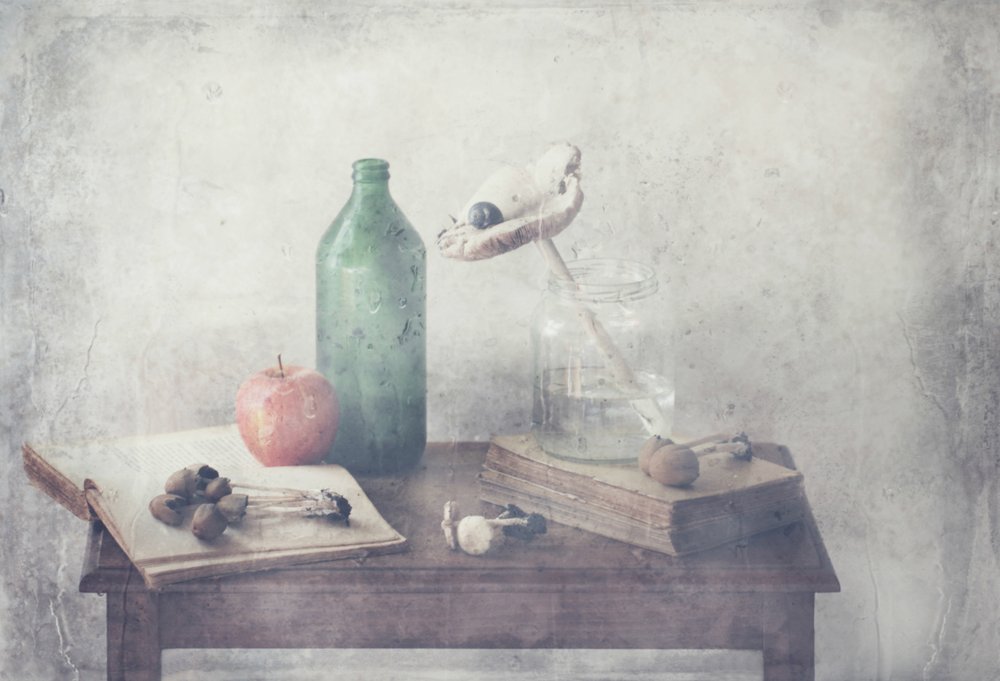  - Delphine Devos