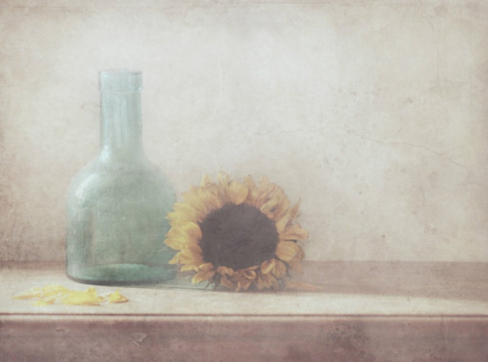  - Delphine Devos