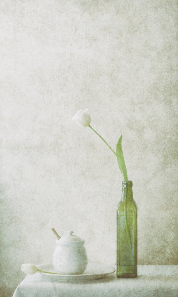  - Delphine Devos