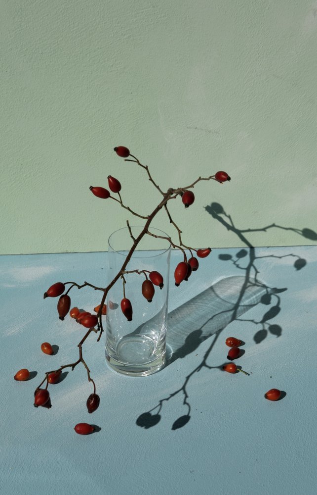 Nature morte aux cynorrhodons - Donatella Basso