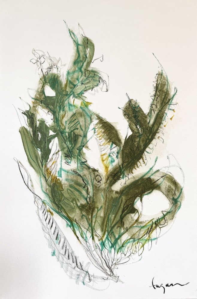 Abstrait : Motifs botaniques verts - Dorothy Fagan