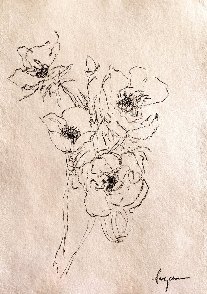 Esquisse florale délicate - Dorothy Fagan