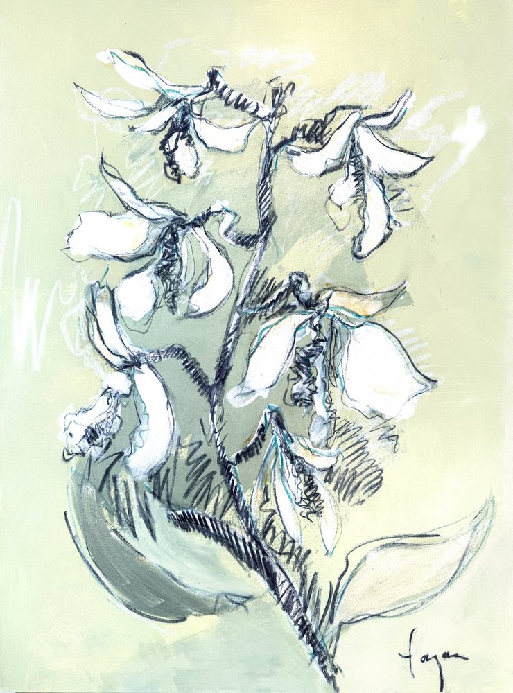 Esquisse florale blanche - Dorothy Fagan