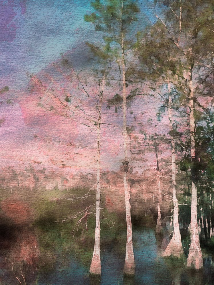  - EDUARDO LLERANDI
