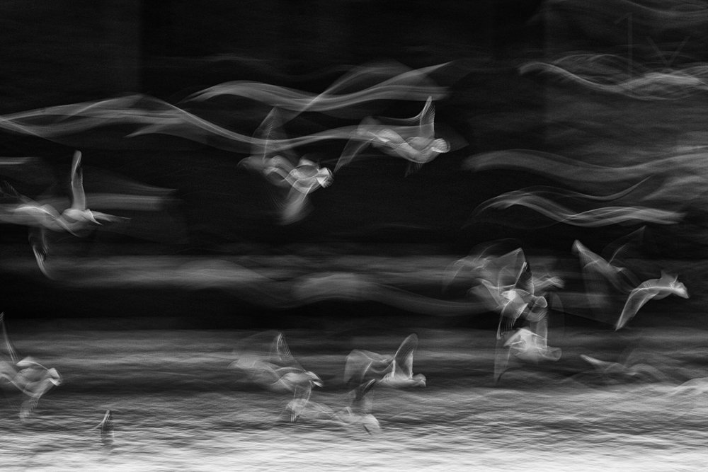La frontière entre réalité et imaginaire - Ebrahim bakhtari bonab
