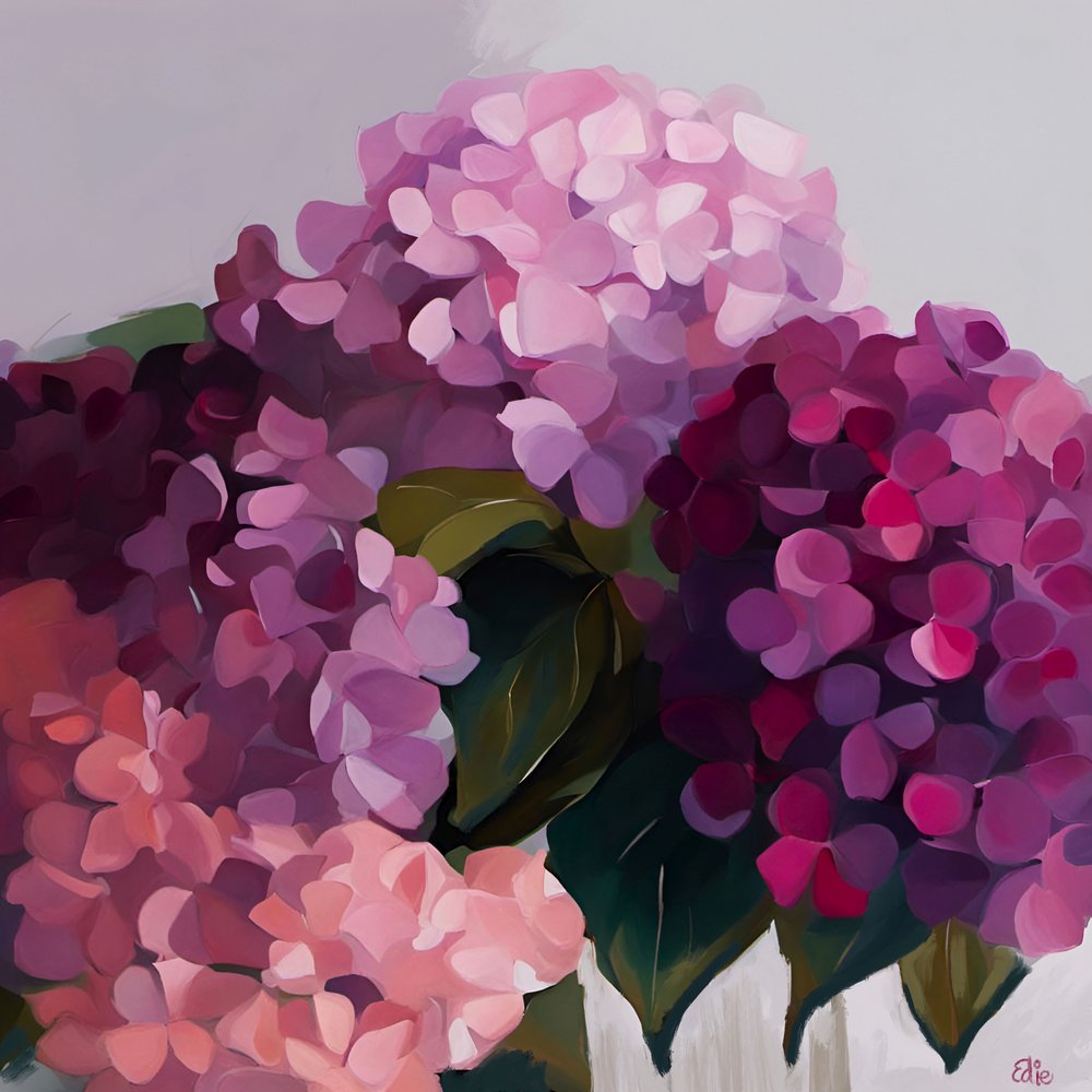 Des hortensias aux couleurs éclatantes - Edie