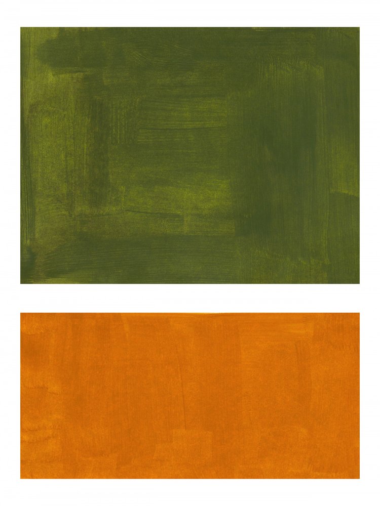 Résumé Vert Orange - Ejaaz Haniff
