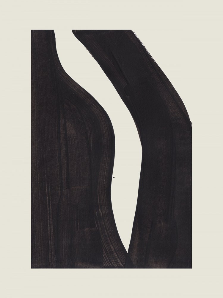 Courbes noires dynamiques - Ejaaz Haniff
