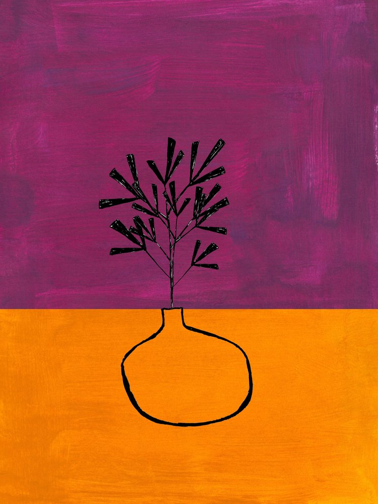 Vase pour plante violet et orange - Ejaaz Haniff